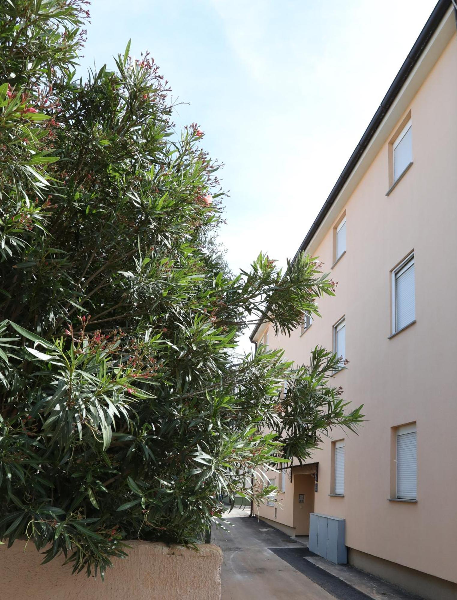 Apartment Loly Medulin Exterior photo